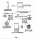 Fig. 02 - Novel cochleate formulations