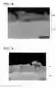 Fig. 10 - Thermal spraying device and thermal spraying method