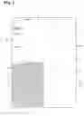 Fig. 02 - Card forming sheet