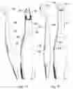 Fig. 07 - Dental pliers