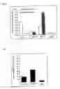 Fig. 06 - Method of constructing spinal injury model monkey and utilization thereof