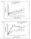 Fig. 07 - Method of constructing spinal injury model monkey and utilization thereof