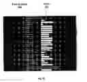Fig. 04 - System and method for dynamic electronic learning based on continuing student assessments and responses