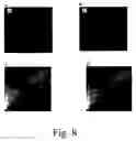Fig. 07 - Image analysis and assay system