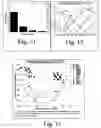 Fig. 09 - Image analysis and assay system