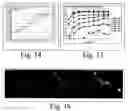 Fig. 10 - Image analysis and assay system
