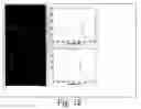 Fig. 12 - Image analysis and assay system