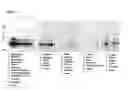 Fig. 09 - Methods and agents for diagnosis and prevention, amelioration or treatment of goblet cell-related disorders