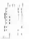 Fig. 04 - Corona-virus-like particles comprising functionally deleted genomes