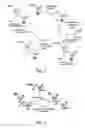 Fig. 02 - MALDI-MS analysis of nucleic acids bound to a surface