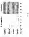 Fig. 06 - Method of treating neurodegenerative disease