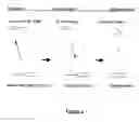 Fig. 02 - Molecular dissection method using trans-splicing to designed spliced leader sequences, genes, and constructs thereof