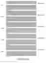 Fig. 45 - Isolated human transporter proteins, nucleic acid molecules encoding human transporter proteins, and uses thereof