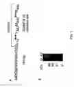 Fig. 02 - Rapid assay to detect ADAMTS-13 activity