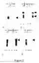 Fig. 03 - Compositions and methods for screening antibacterial compounds