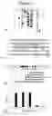 Fig. 06 - Compositions and methods for screening antibacterial compounds