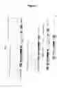 Fig. 02 - Novel mutated mammalian cells and animals