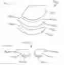 Fig. 22 - Multi-piece bra