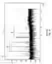 Fig. 02 - Method and system for rejecting single-sided leakage into an amplitude modulated (AM) channel