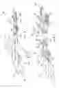 Fig. 04 - Tamper evident reclosable package