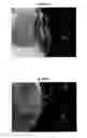Fig. 02 - Sintered compact