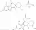 Fig. 22 - Substituted phenylketoenols