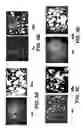 Fig. 04 - Albumin-based colloid composition having at least one protected thiol region, methods of making, and methods of use