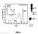 Fig. 06 - Albumin-based colloid composition having at least one protected thiol region, methods of making, and methods of use