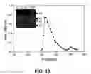 Fig. 12 - Albumin-based colloid composition having at least one protected thiol region, methods of making, and methods of use