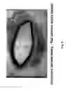 Fig. 09 - Polymer compositions and methods for their use