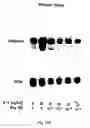 Fig. 22 - Polymer compositions and methods for their use