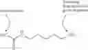 Fig. 16 - Compositions and methods for increasing drug efficiency