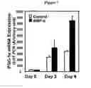 Fig. 03 - Methods and compositions for modulating adipocyte function