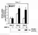 Fig. 04 - Methods and compositions for modulating adipocyte function