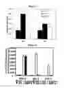 Fig. 06 - Methods and compositions for modulating adipocyte function