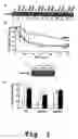 Fig. 06 - Isozyme-specific antagonists of protein kinase C