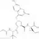 Fig. 64 - Hepatitis C virus inhibitors