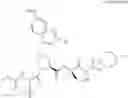Fig. 77 - Hepatitis C virus inhibitors