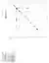 Fig. 30 - Polyene polyketides, processes for their production and their use as a pharmaceutical