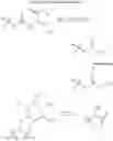 Fig. 80 - Polyene polyketides, processes for their production and their use as a pharmaceutical