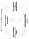 Fig. 12 - RNA interference mediated inhibition of intercellular adhesion molecule (ICAM) gene expression using short interfering nucleic acid (siNA)