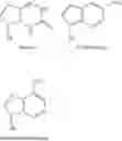 Fig. 03 - Compositions comprising alternating 2'-modified nucleosides for use in gene modulation