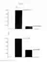 Fig. 10 - Uridine administration improves phosphatide synthesis, synaptic transmission and cognitive function