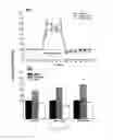 Fig. 13 - Uridine administration improves phosphatide synthesis, synaptic transmission and cognitive function