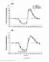 Fig. 14 - Uridine administration improves phosphatide synthesis, synaptic transmission and cognitive function