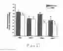 Fig. 23 - Uridine administration improves phosphatide synthesis, synaptic transmission and cognitive function