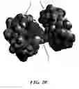 Fig. 22 - Artemisinins with improved stability and bioavailability for therapeutic drug development and application