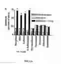Fig. 02 - Synergistic l-methadone compositions and methods of use thereof