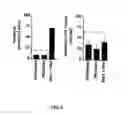Fig. 06 - Synergistic l-methadone compositions and methods of use thereof