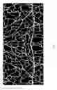 Fig. 02 - Method of inhibiting choroidal neovascularization